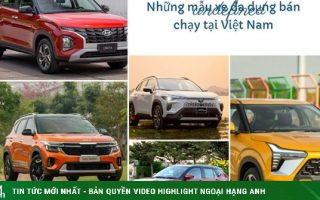 Xe ô tô nào nhập đa dụng?